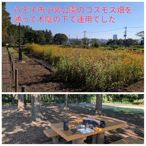 QSLカード画像