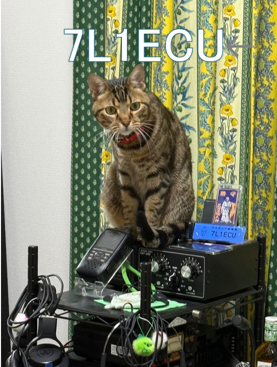 QSLカード画像