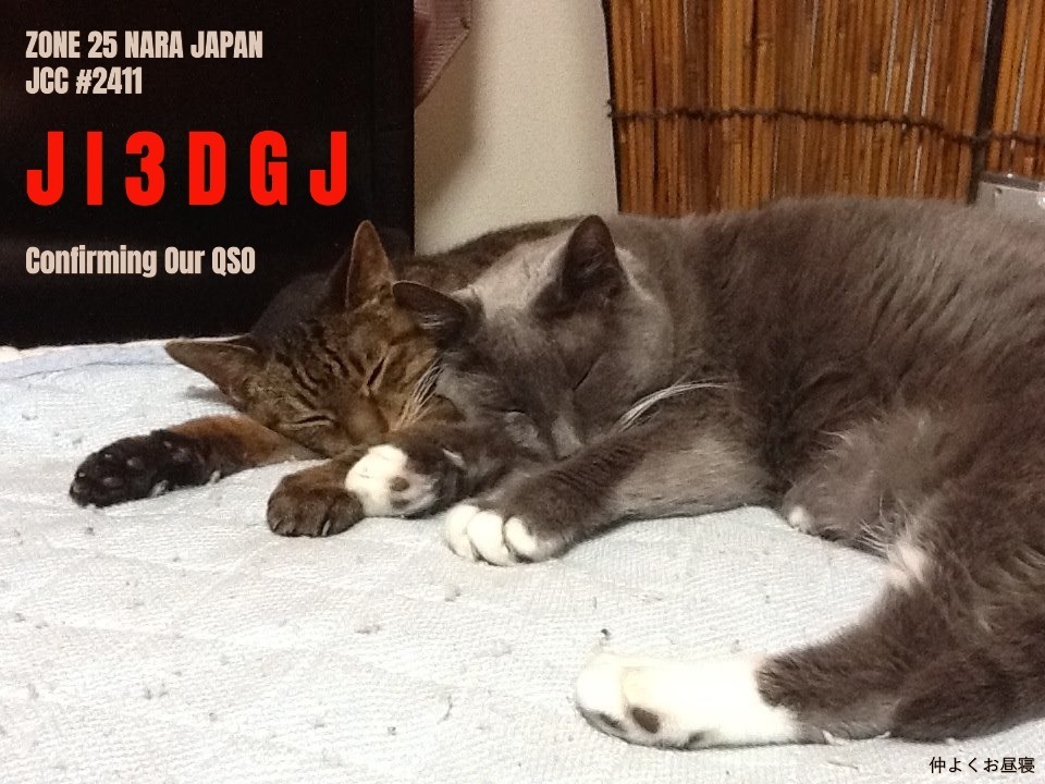 QSLカード画像