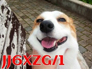 QSLカード画像