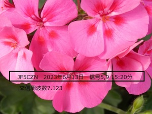 QSLカード画像