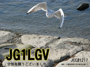 QSLカード画像
