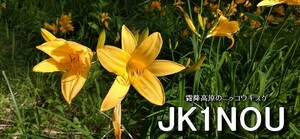 QSLカード画像