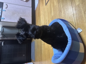 QSLカード画像