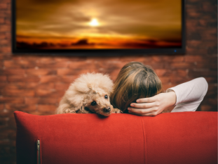 Woman watching TV with dog