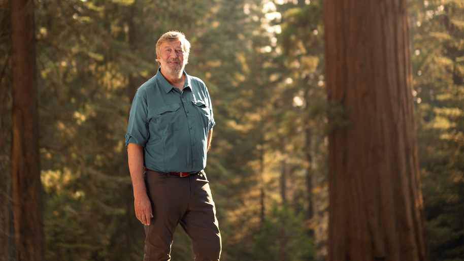 stephen fry stood in a forest