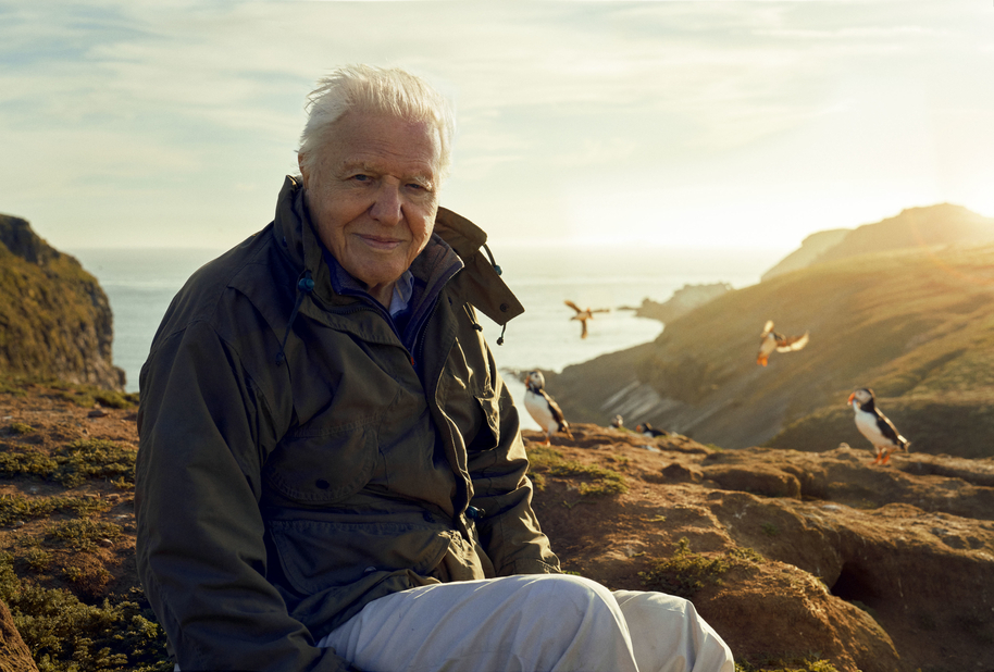 david attenborough on the british coastline for Wild Isles