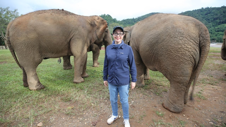 Sue Perkins Lost in Thailand on Channel 5 