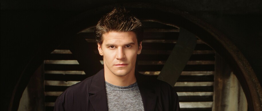 angel david boreanaz