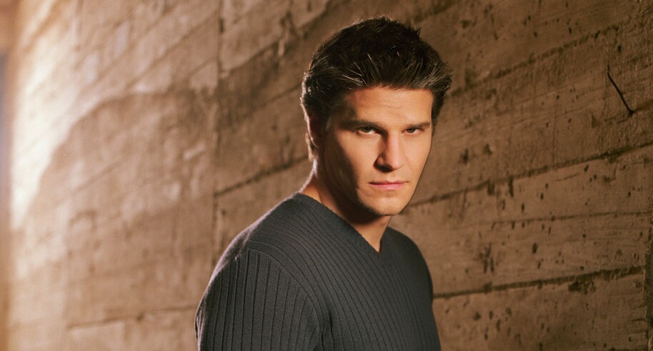 angel david boreanaz