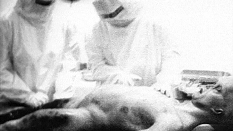 alien autopsy the search for answers