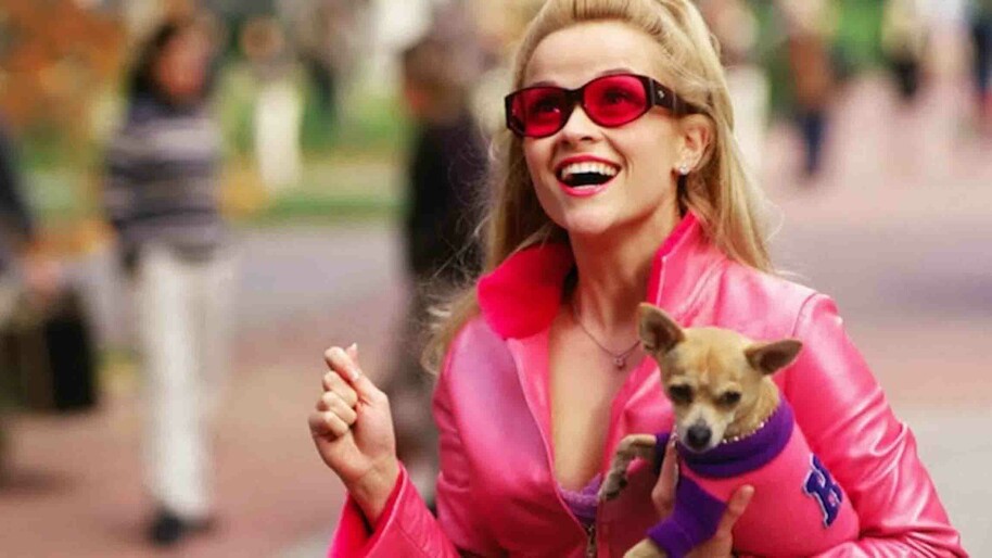 legally blonde