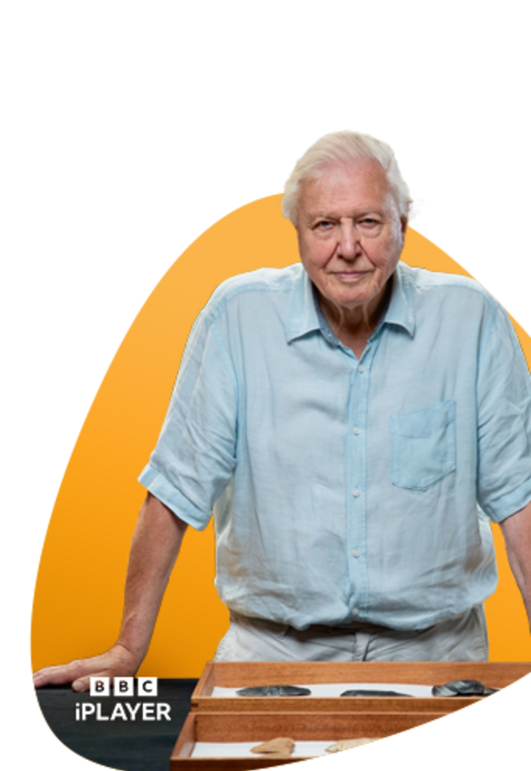 BBC homepage yellow plectrum David Attenborough Jan24