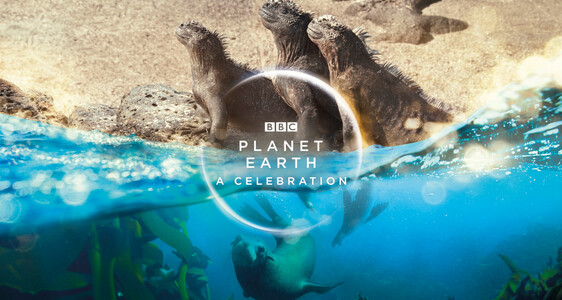 planet earth a celebration