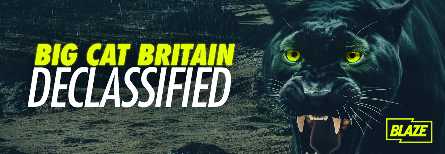 Big Cat Britain Declassified on BLAZE