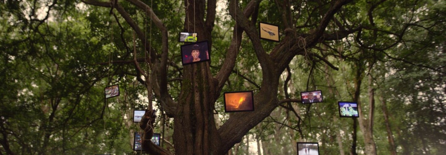 our stories tv tree banner