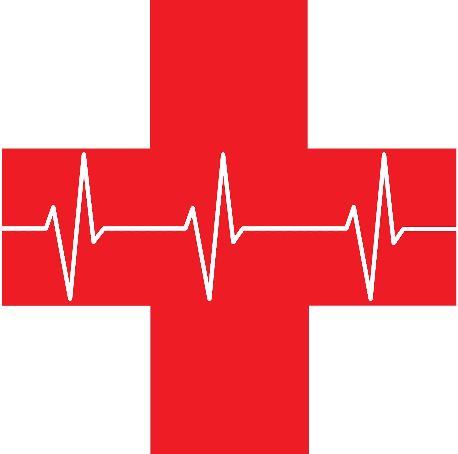 Alt-Text Description