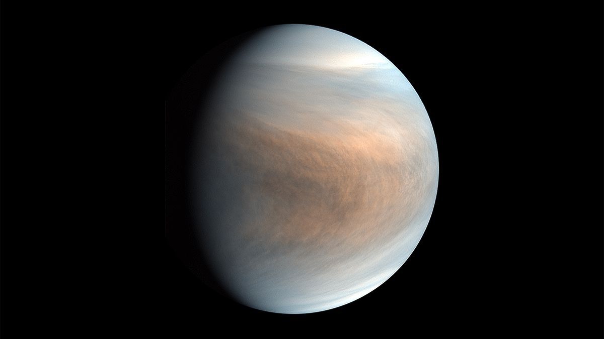 POTENTIAL SIGN OF ALIEN LIFE DETECTED ON VENUS potential-sign-of-alien-life-detected-on-ven