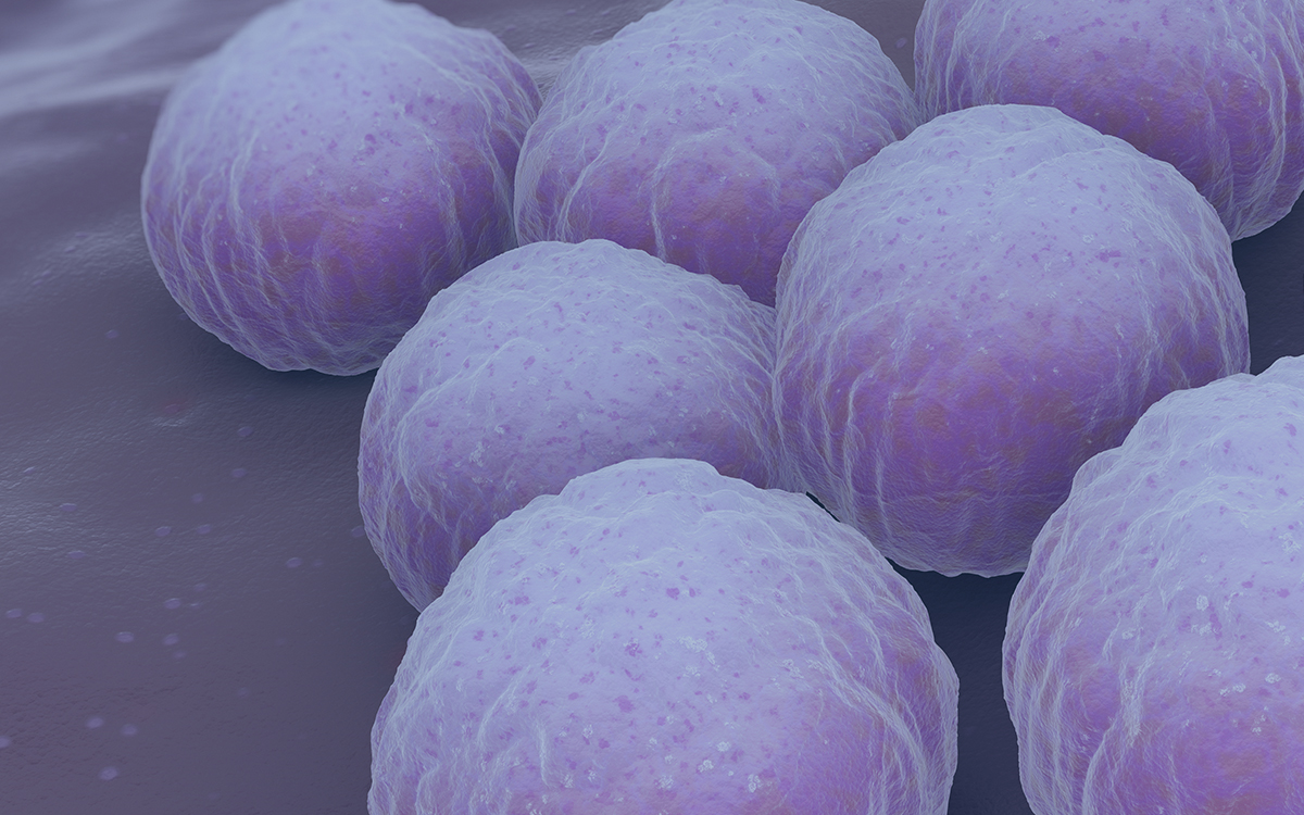 STUDY: CHLAMYDIA, GONORRHEA INCREASING AMONG YOUNG WOMEN study-chlamydia-gonorrhea-increasing-among-young-women