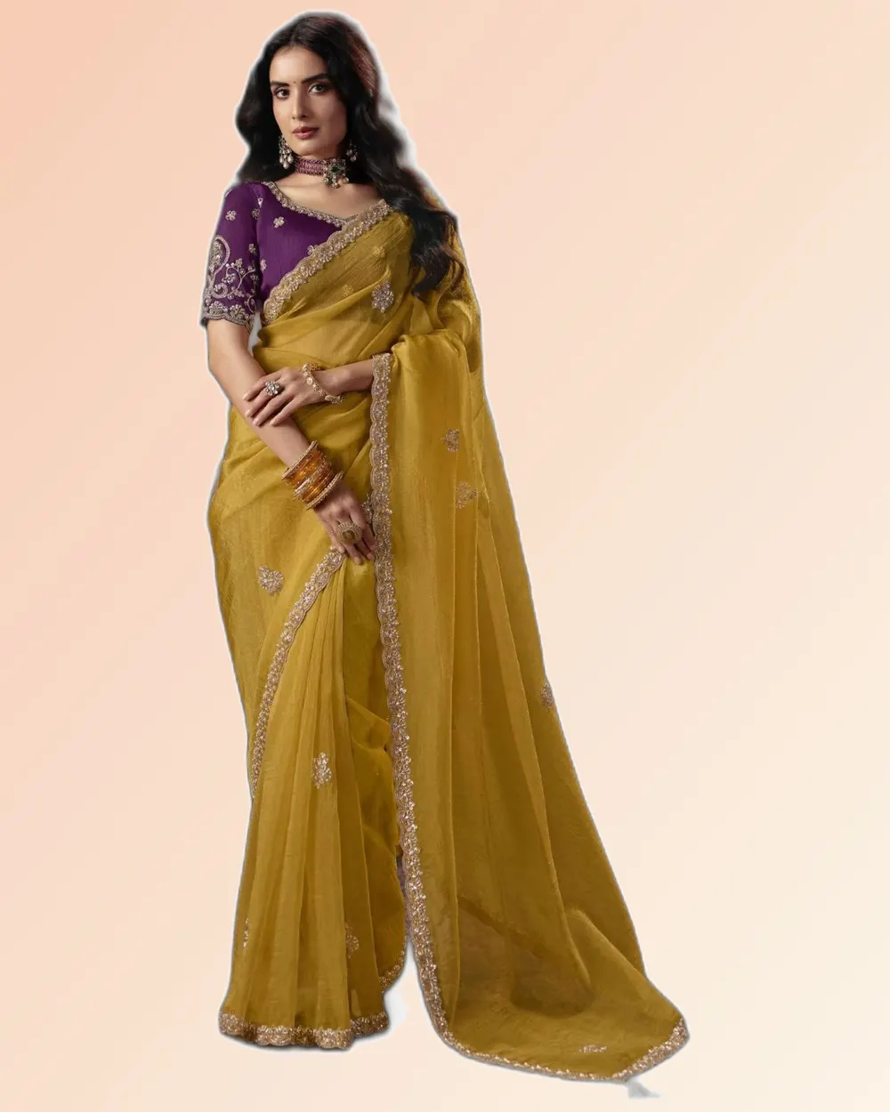Virasat V1 Handwork Motif Border Detailed  Sarees