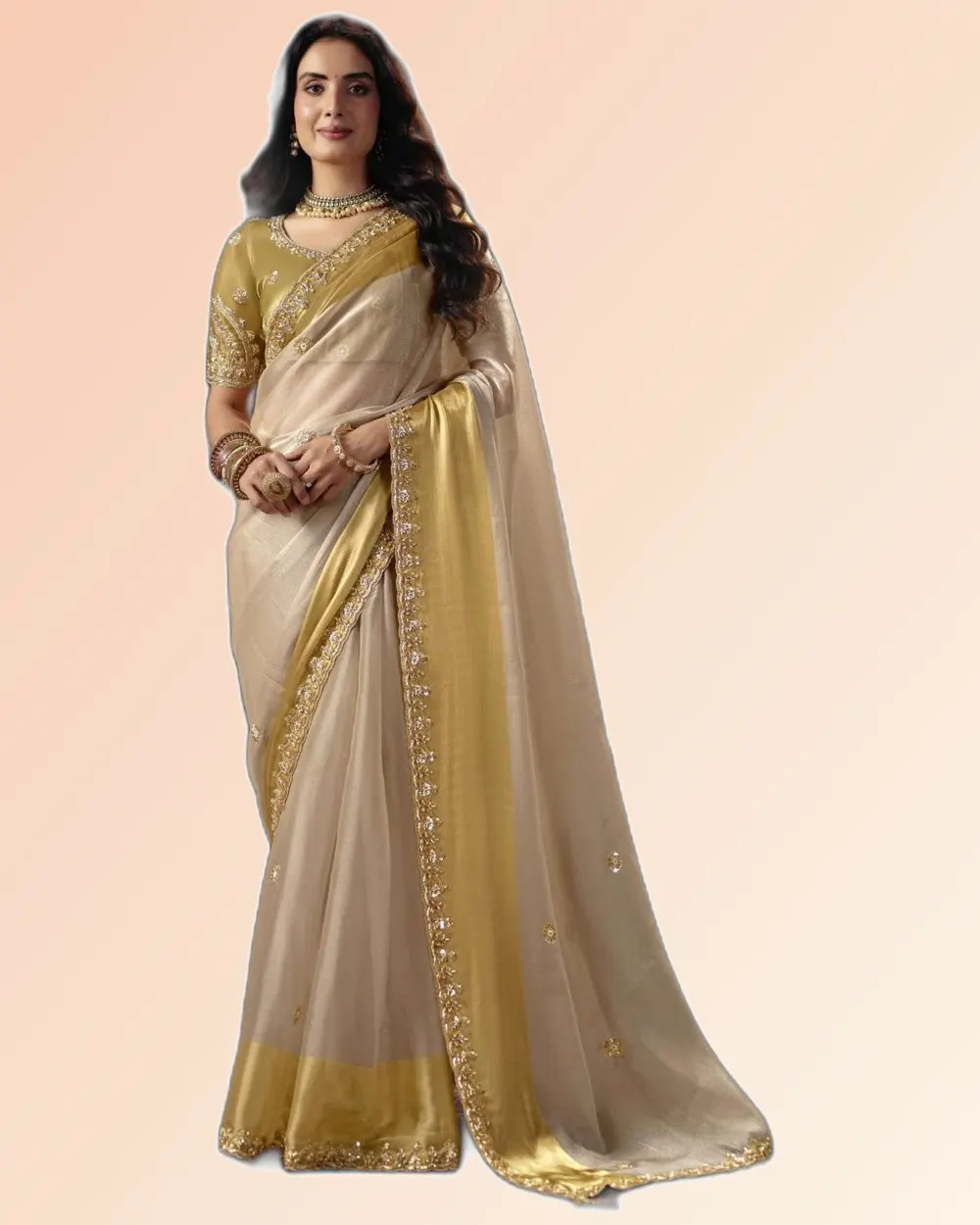 Virasat V1 Handwork Motif Border Detailed  Sarees