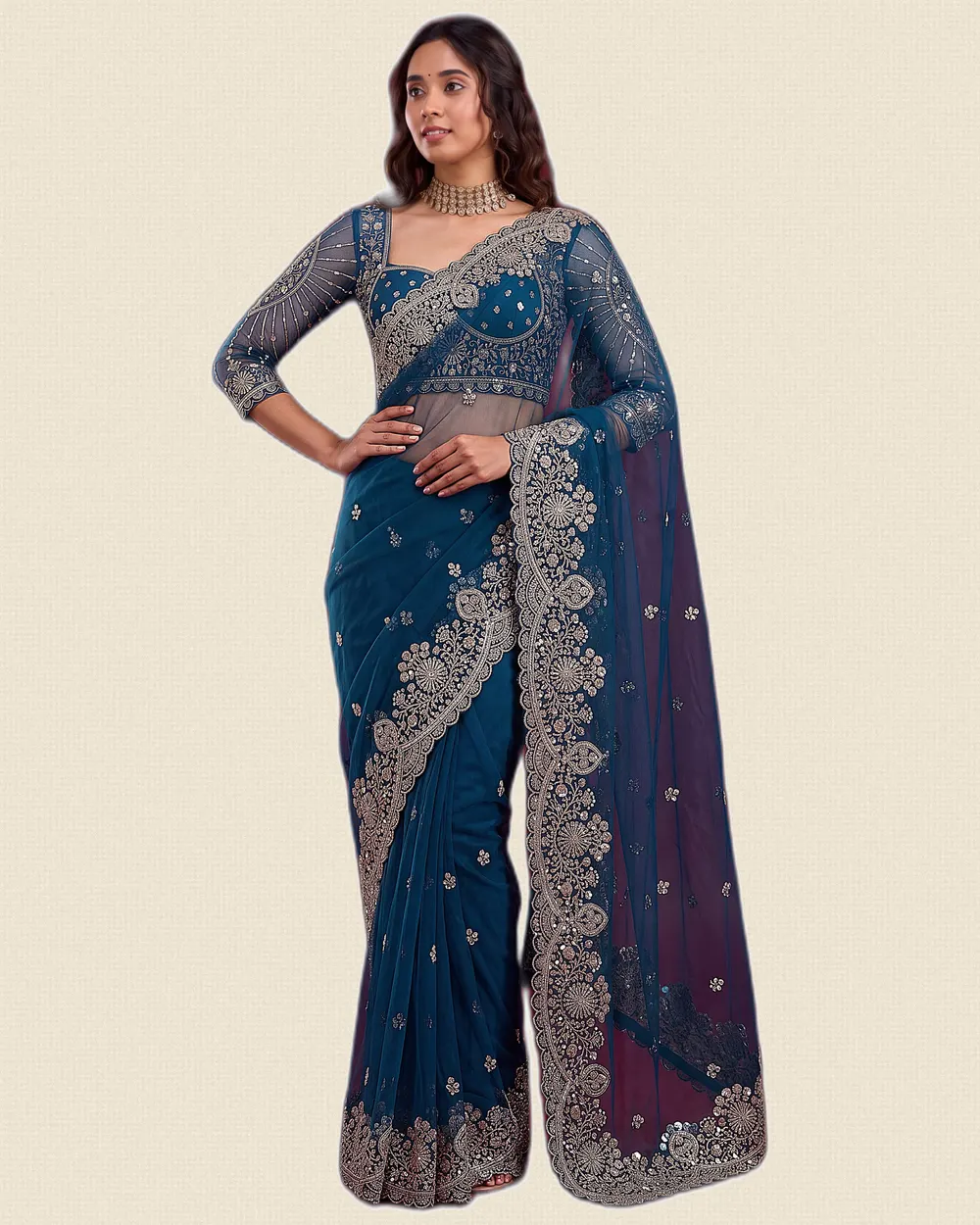 Regal Vibe Net Saree Work Border Sarees