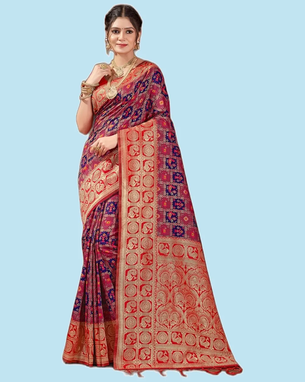 Vishwa Patola Silk Checks Broad Border Sarees