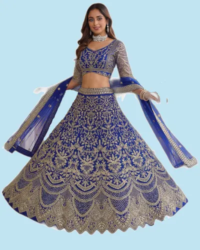 Luxury Graceful Butterfly Net  Heavy Work Designer Dresses