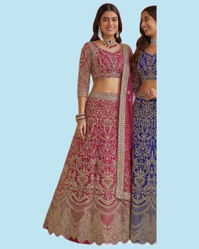 Luxury Graceful Butterfly Net  Heavy Work Designer Dresses — image 3
