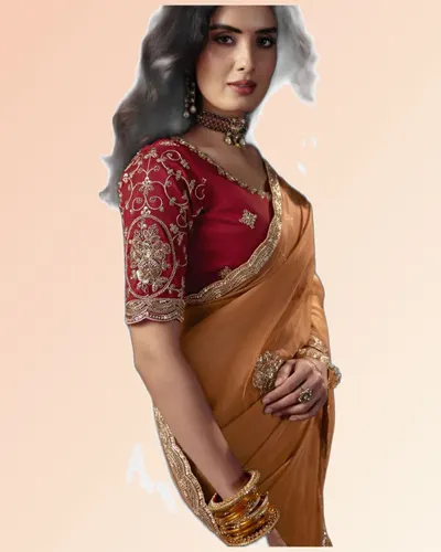 Virasat V1 Handwork Motif Border Detailed  Sarees — image 2