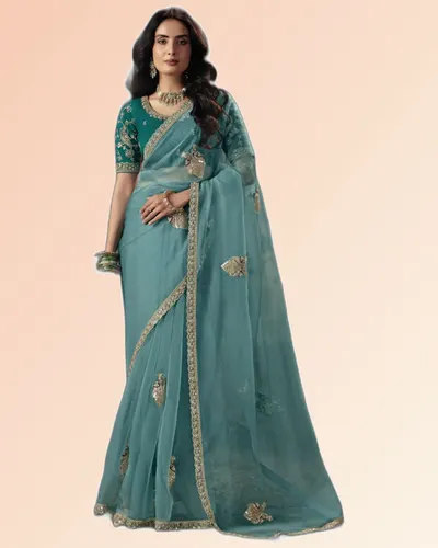 Virasat V1 Handwork Motif Border Detailed  Sarees