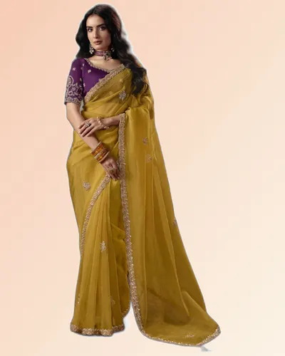 Virasat V1 Handwork Motif Border Detailed  Sarees