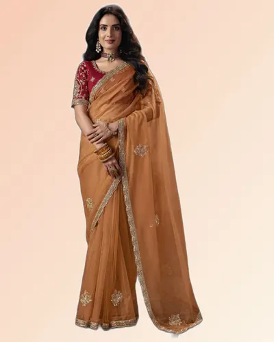 Virasat V1 Handwork Motif Border Detailed  Sarees