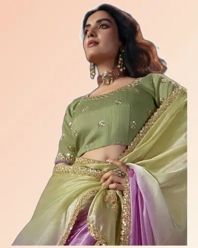 Virasat V1 Handwork Motif Border Detailed  Sarees — image 2