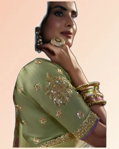 Virasat V1 Handwork Motif Border Detailed  Sarees — image 3