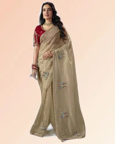 Virasat V1 Handwork Motif Border Detailed  Sarees
