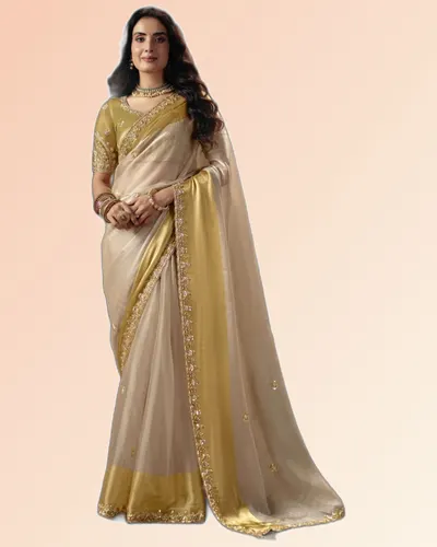 Virasat V1 Handwork Motif Border Detailed  Sarees
