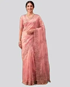 Icloth V19 Classical Fandy Chiffon Sarees — image 3