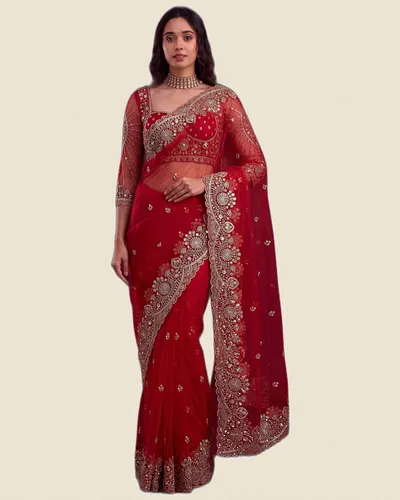 Regal Vibe Net Saree Work Border Sarees