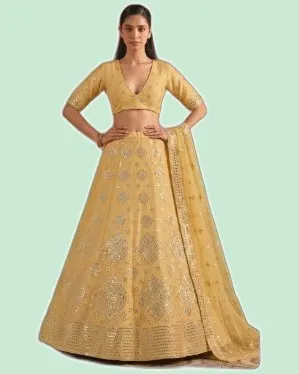 Lookbook V2 Oraganza Embroidered Lehenga Suits — image 2