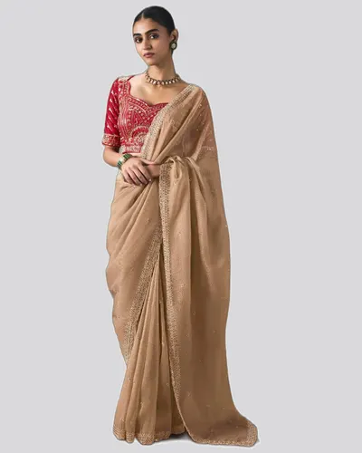 Rich Look  Solid Border Premium Lightweight Beads Sarees