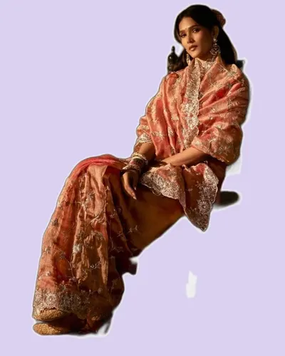 Rich Look Zari Organza Chandrima Sarees — image 3