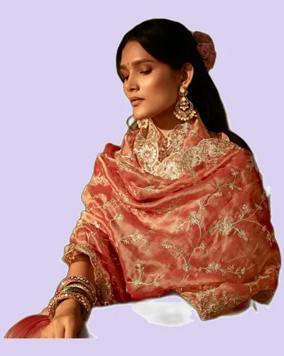 Rich Look Zari Organza Chandrima Sarees — image 6