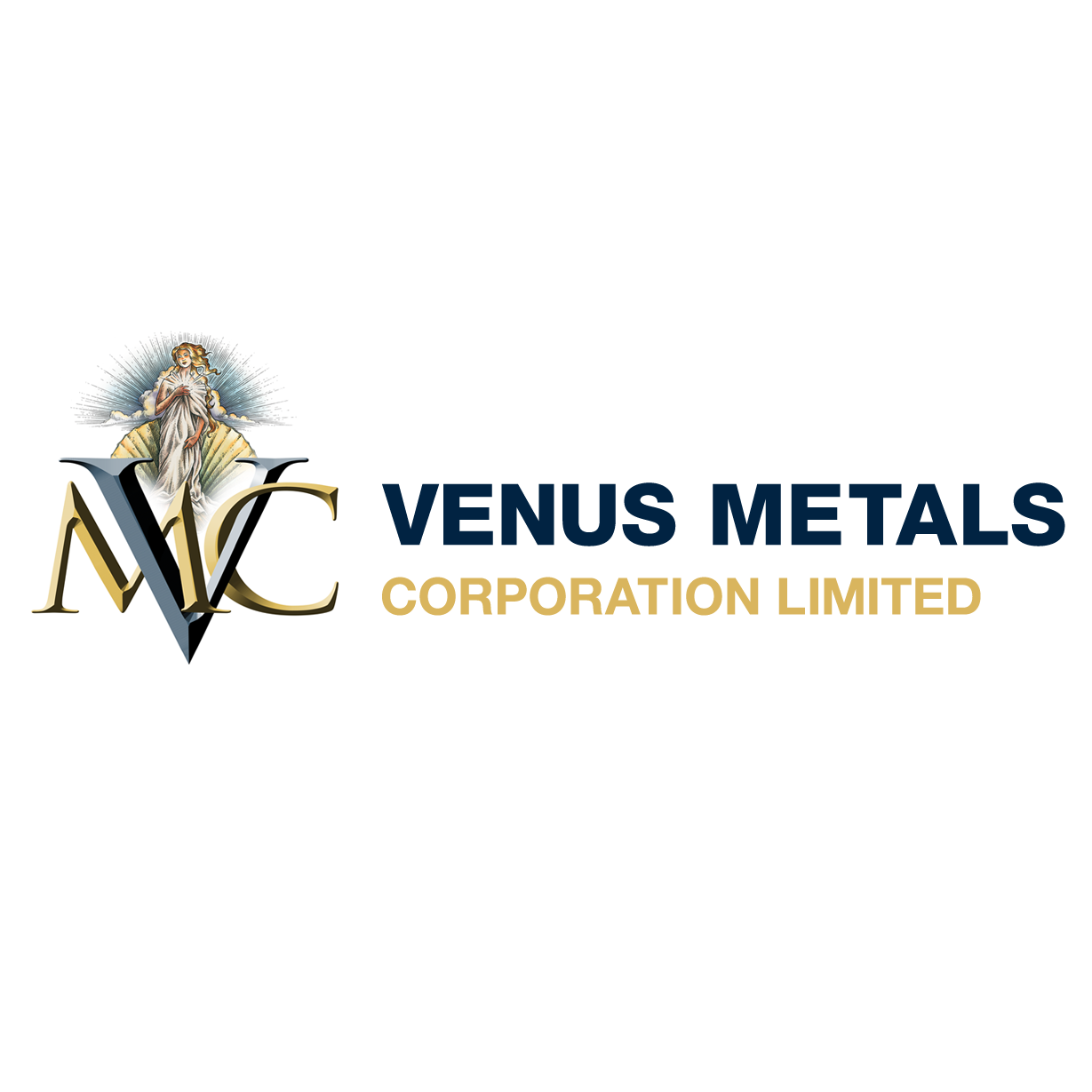 ASX:VMC logo