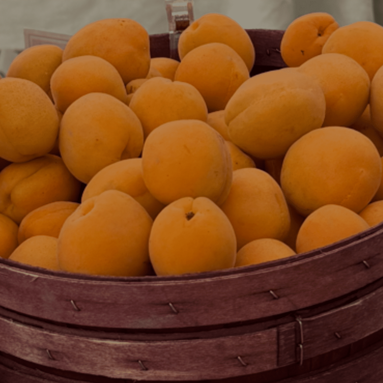 Fruit - Apricot Kettleman (lb)