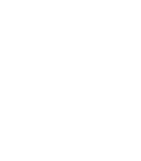 Salekce vizuál