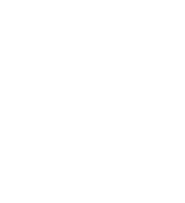 Carhartt WIP visual