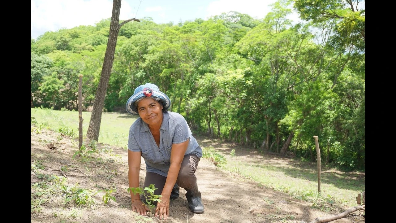 Limay Community Carbon Project Nicaragua