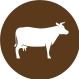 Dairy-Cattle