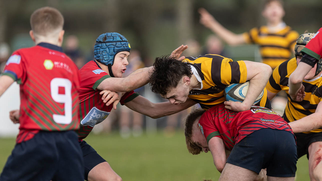 Medallion Shield: Coleraine Grammar 17 Royal Belfast Academical Institution 33 Semi Final